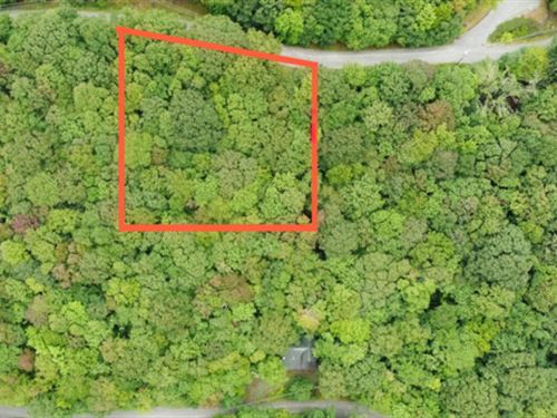 A License to Chill Awaits : Beech Mountain : Watauga County : North Carolina