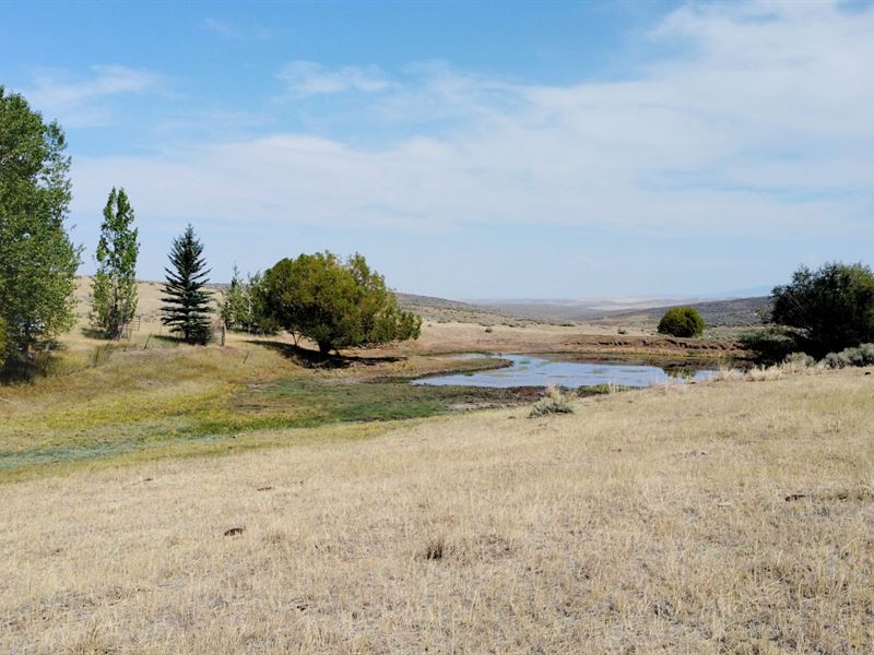 Double Spring 320 : Craig : Moffat County : Colorado