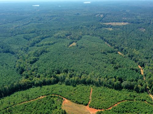 Tower Road 50 : Franklin : Heard County : Georgia