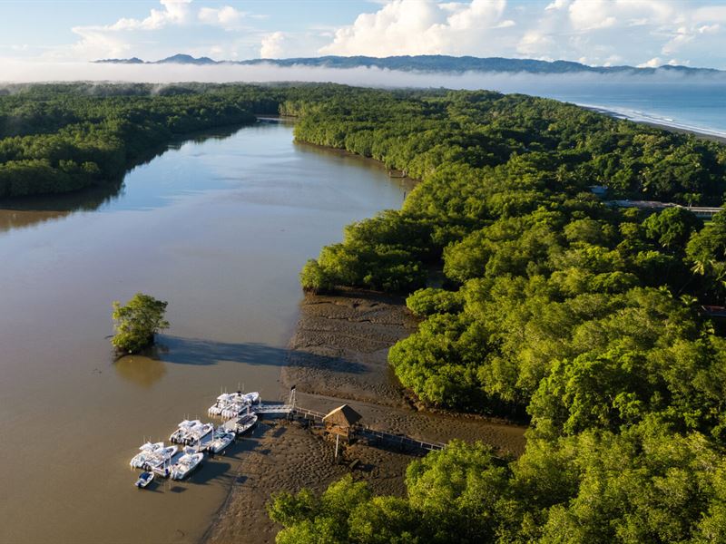 The Zancudo Lodge : Golfito Costa Rica : N/A County : Alabama
