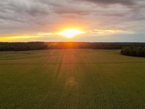 Productive Tillable Farm Land : Montezuma : Parke County : Indiana