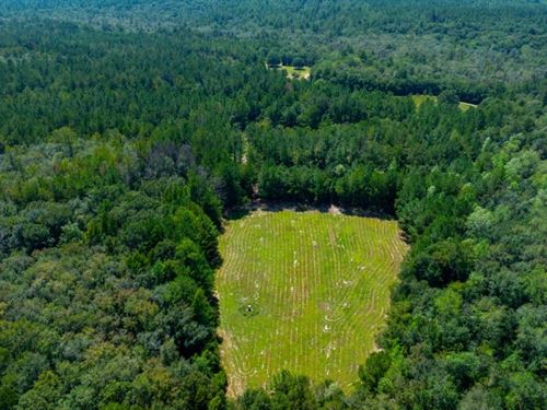 Whitewater Ranch : Butler : Taylor County : Georgia