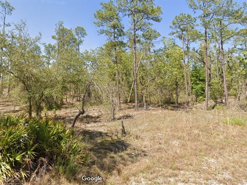 Privacy & Space, Yours $299 Down : Dunnellon : Marion County : Florida