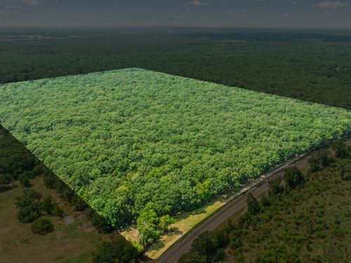 27+ Acre Hunting & Homestead Tract : Bogata : Red River County : Texas