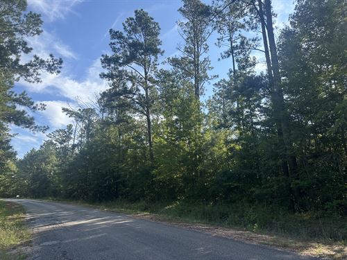 Hank Williams Road Tract East : McKenzie : Butler County : Alabama