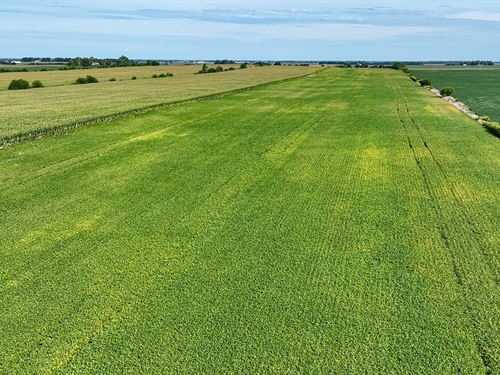 Land Auction, Newton Co. Indiana : Morocco : Newton County : Indiana