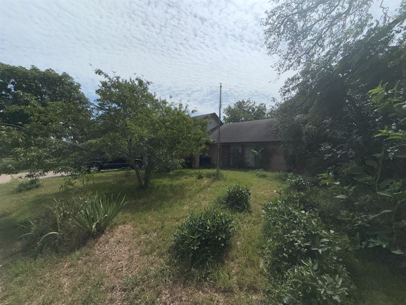 Bankruptcy Auction : Austin : Travis County : Texas
