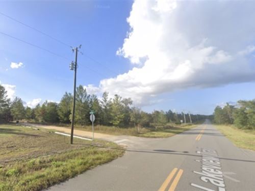 A Dream Lot with Your Name : Interlachen : Putnam County : Florida