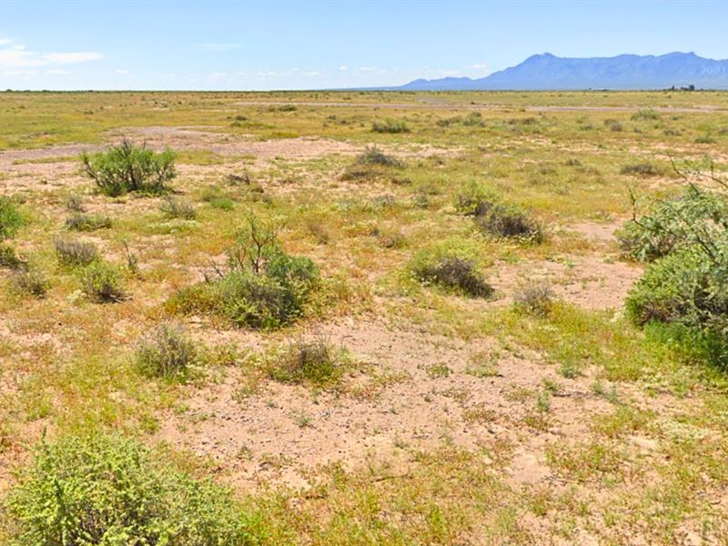 Solitude and a Slower Pace of Life : Deming : Luna County : New Mexico