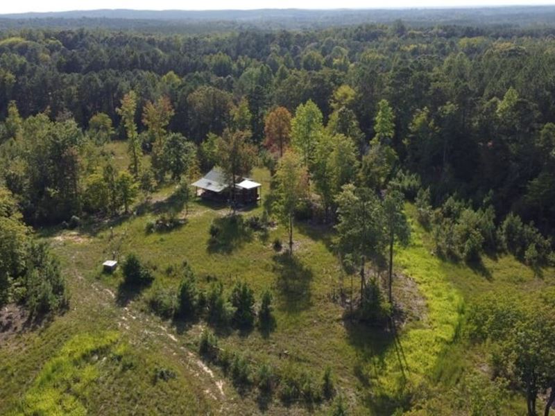 McCallum Tract : Carlisle : Chester County : South Carolina