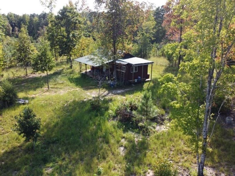 McCallum Tract : Carlisle : Chester County : South Carolina