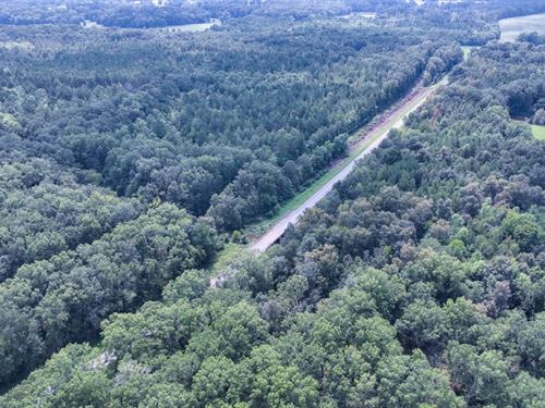 Clay County, Pheba, 68 Acres Hunt : Pheba : Clay County : Mississippi