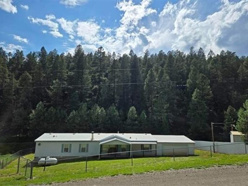 98 Hay Canyon Road : Sacramento : Otero County : New Mexico