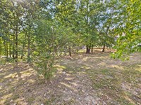 .5 Flat Lot For Sale in Poplar : Poplar Bluff : Butler County : Missouri