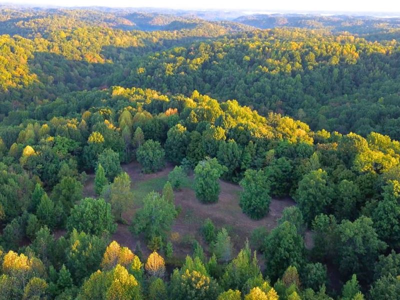 Secluded Nashville Getaway : Pegram : Cheatham County : Tennessee