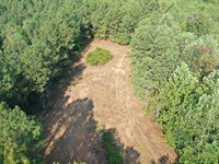 79.1 Acres Greenwood Springs, MS : Greenwood Springs : Monroe County : Mississippi