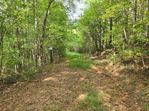 Mt. Moriah Tract 103Ac : Delta : Randolph County : Alabama