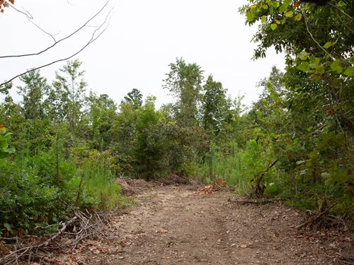 $999 Down and no Credit Check : Delaware : Shannon County : Missouri