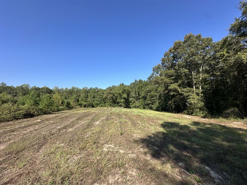 Browder Road Tract-74 Acres : McKenzie : Conecuh County : Alabama