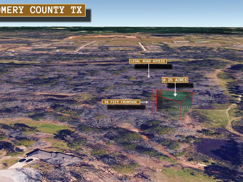 .25 Acre in Willis, $350 a Month : Willis : Montgomery County : Texas