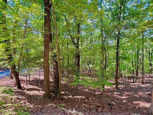 .52 Acre Bent Tree Lot Wooded Retr : Jasper : Pickens County : Georgia