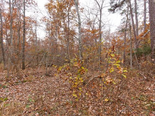 $999 Down Land : Ellington : Reynolds County : Missouri