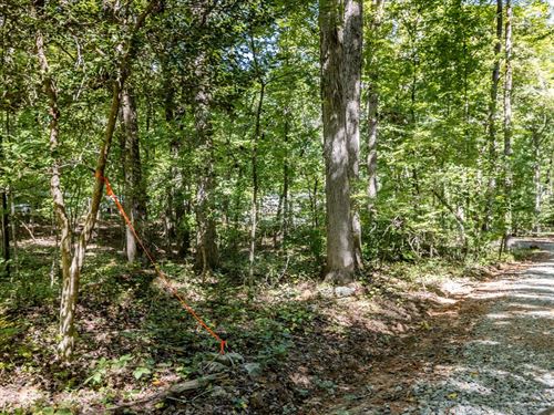 Rural Resi Lot Ready for Home : Pittsboro : Chatham County : North Carolina