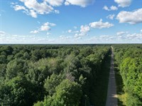 5 Secluded Acres Near Phillips WI : Phillips : Price County : Wisconsin