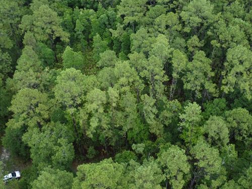 Build Your Home in Beautiful FL : Palatka : Putnam County : Florida