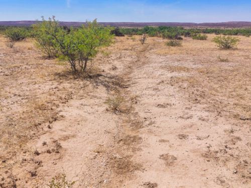 5.14 Acres Near El Paso Going Fast : Sierra Blanca : Hudspeth County : Texas