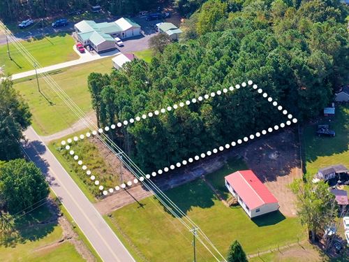 Shaded Lot Near Chowan River : Windsor : Bertie County : North Carolina
