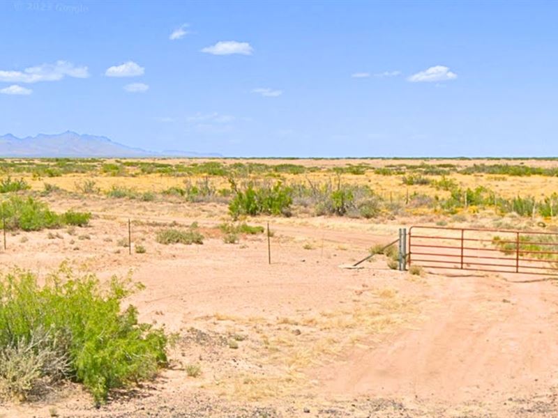 Serene Parcel Boasts True Privacy : Deming : Luna County : New Mexico
