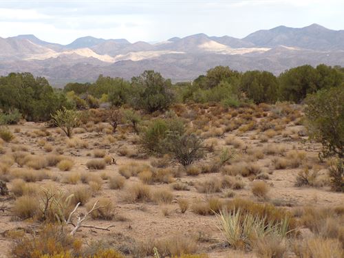5 Acres Bordering Public Land : Kingman : Mohave County : Arizona
