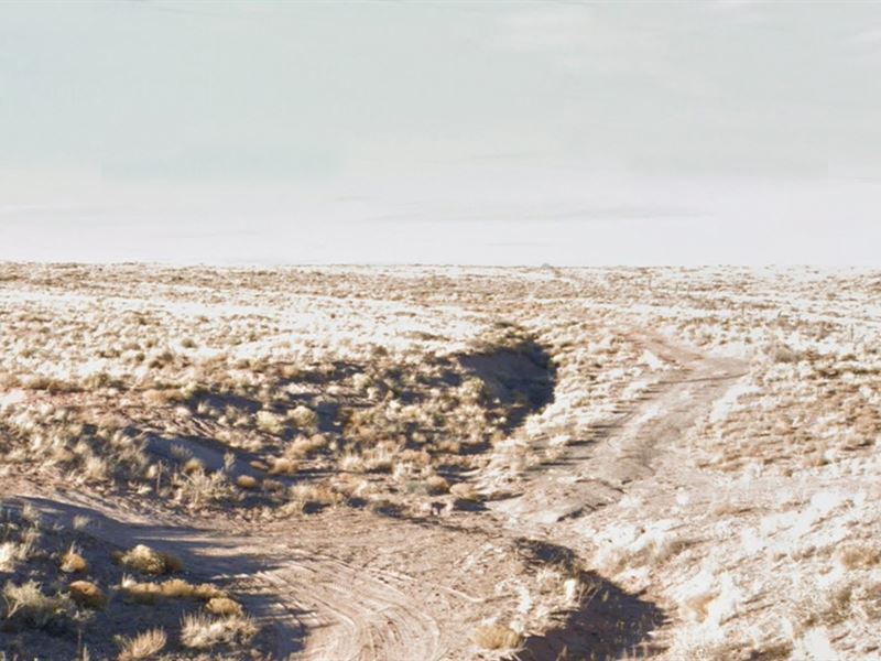 Stunning 0.62 Acre in Navajo, AZ : Sun Valley : Navajo County : Arizona