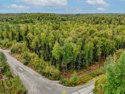 Purinton Parkway : Big Lake : Matanuska-Susitna Borough : Alaska