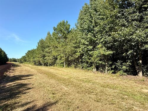 Tract A Holt Rd Houston Co : Elko : Houston County : Georgia