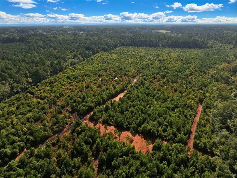Updated, 34.98 Acres of Recreatio : Kinston : Lenoir County : North Carolina
