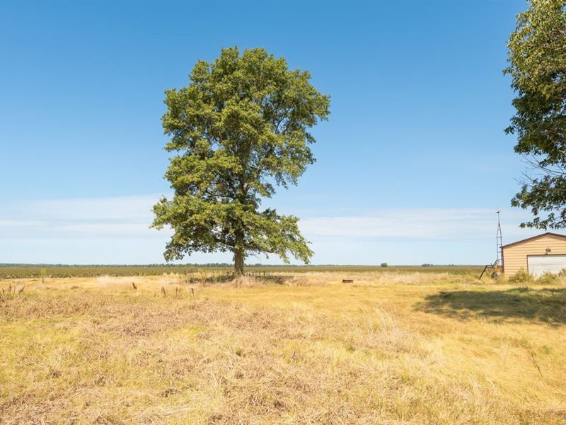 1 AC Lot for Sale Near Otter Slo : Bernie : Stoddard County : Missouri