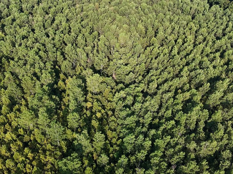 48 Acres in Warren County, MS : Vicksburg : Warren County : Mississippi