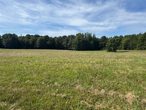 28.9 Acres Tract S In Lafayette : Oxford : Lafayette County : Mississippi