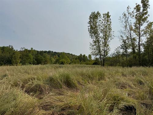 69.69 Acres In Muhlenberg County : Graham : Muhlenberg County : Kentucky