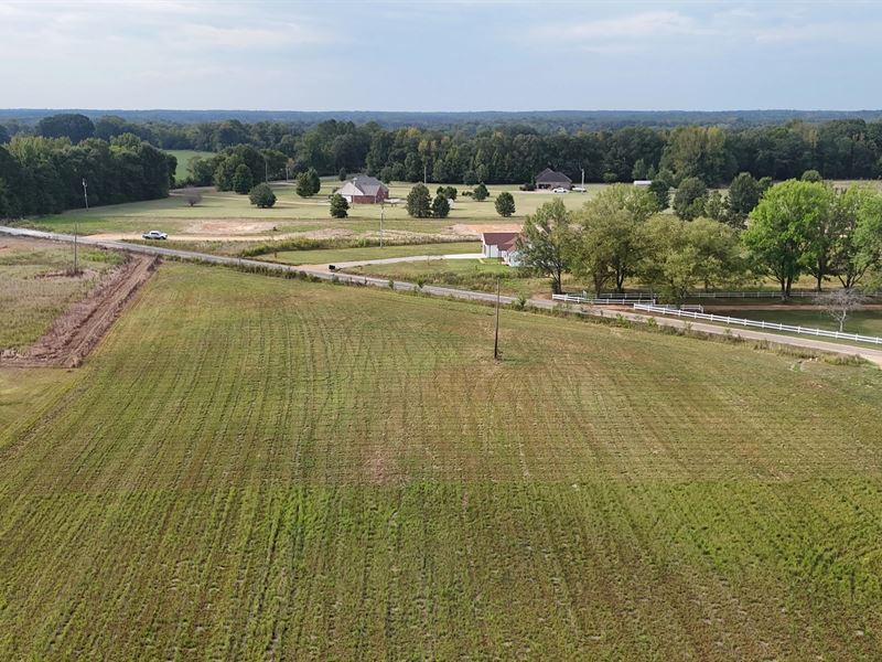 1.5 Acre Lot in Panola County, MS : Pope : Panola County : Mississippi