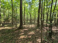 Pickens County Alabama : Gordo : Pickens County : Alabama