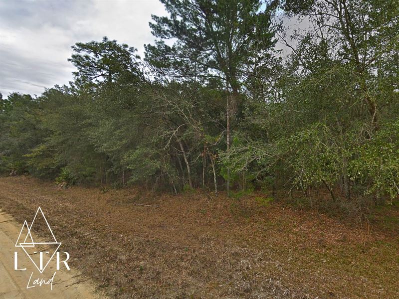 Power at Street, Low Taxes : Interlachen : Putnam County : Florida