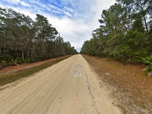 Power at Street, Low Taxes : Interlachen : Putnam County : Florida