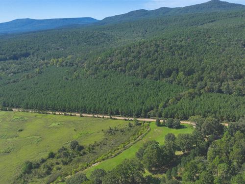 Slo Fork Timber & Hunting : Dardanelle : Yell County : Arkansas