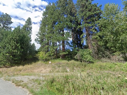 .16 Acre Lot in Bonners Ferry : Bonners Ferry : Boundary County : Idaho