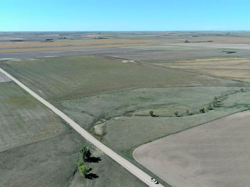 Southeast Fleming Dryland : Fleming : Logan County : Colorado