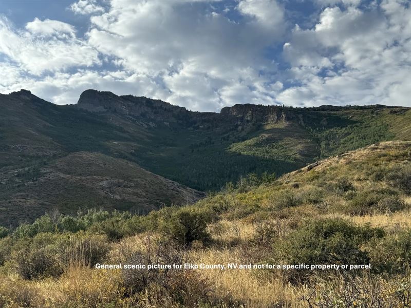 Your 1 Acre Opportunity in Elko : Spring Creek : Elko County : Nevada