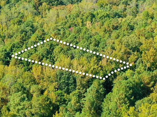 Peaceful Lot Near Kerr Lake : Henderson : Vance County : North Carolina